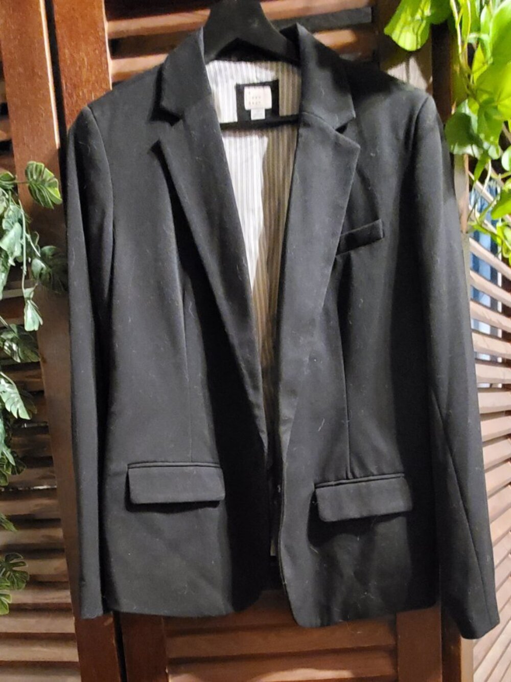 Ladies Suit Jacket with Pinstripe Lining